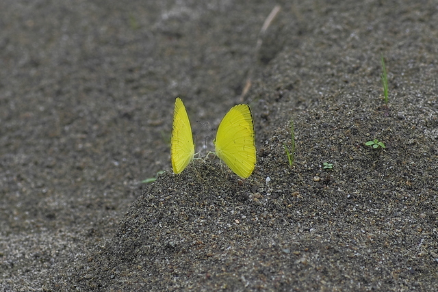 b0194593_1022568.jpg