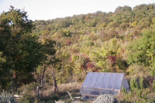 f0106597_0162970.jpg