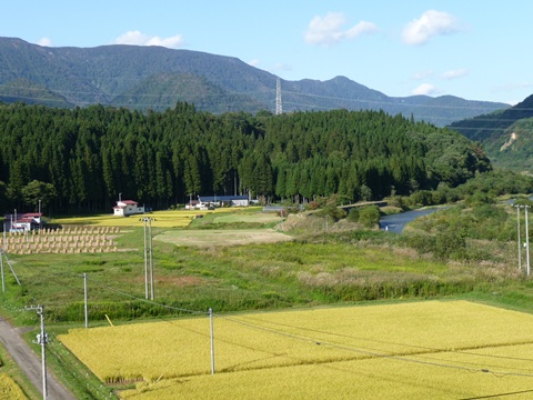 a0138198_16125935.jpg