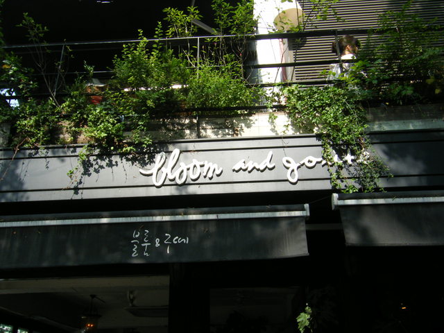 a0196698_8472158.jpg