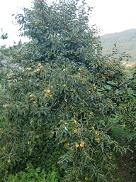 c0187298_22565039.jpg