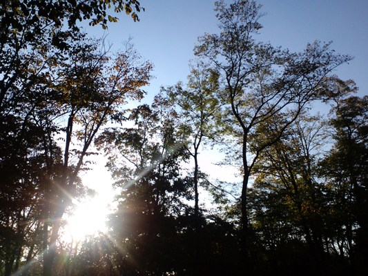 f0225998_17132466.jpg