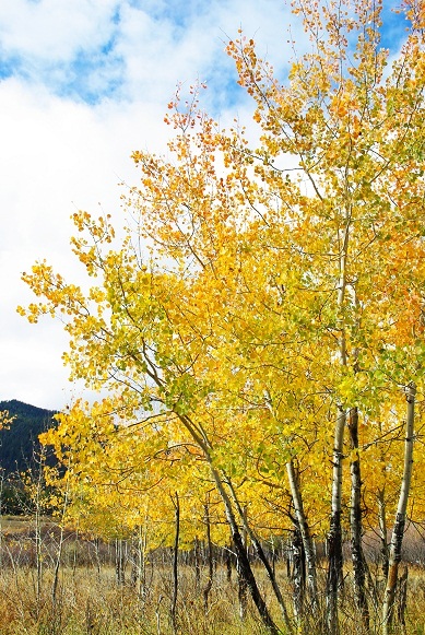 f0038904_10203234.jpg