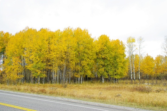 f0038904_1020394.jpg