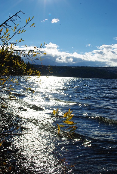 f0038904_11162321.jpg