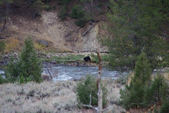 f0038904_15101587.jpg