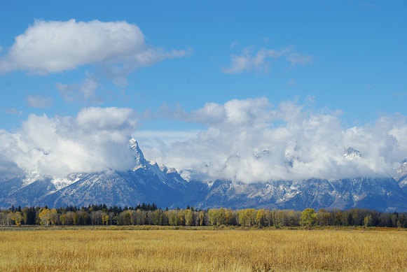 f0038904_15295914.jpg