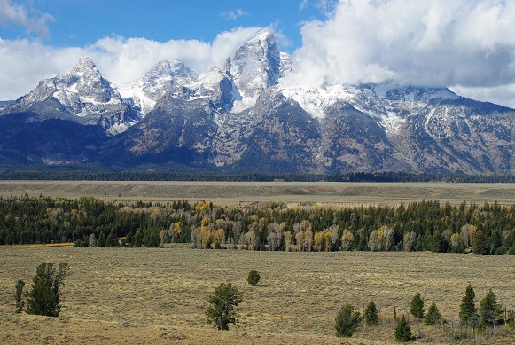 f0038904_1530355.jpg