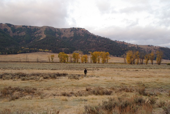 f0038904_1572395.jpg