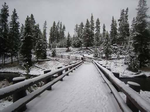 f0038904_5282212.jpg
