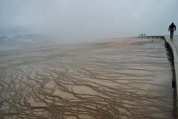 f0038904_645195.jpg