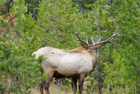 f0038904_9261590.jpg
