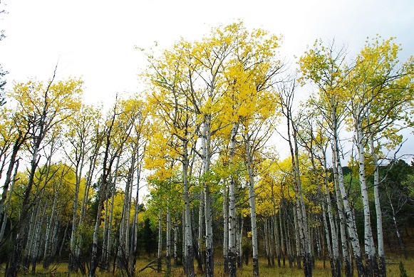 f0038904_953348.jpg