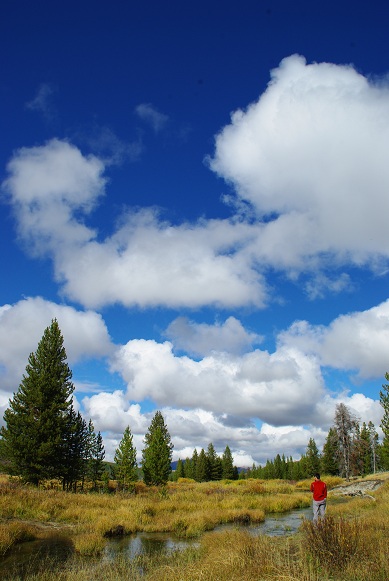 f0038904_973073.jpg