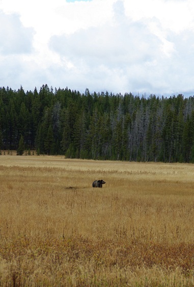 f0038904_991459.jpg