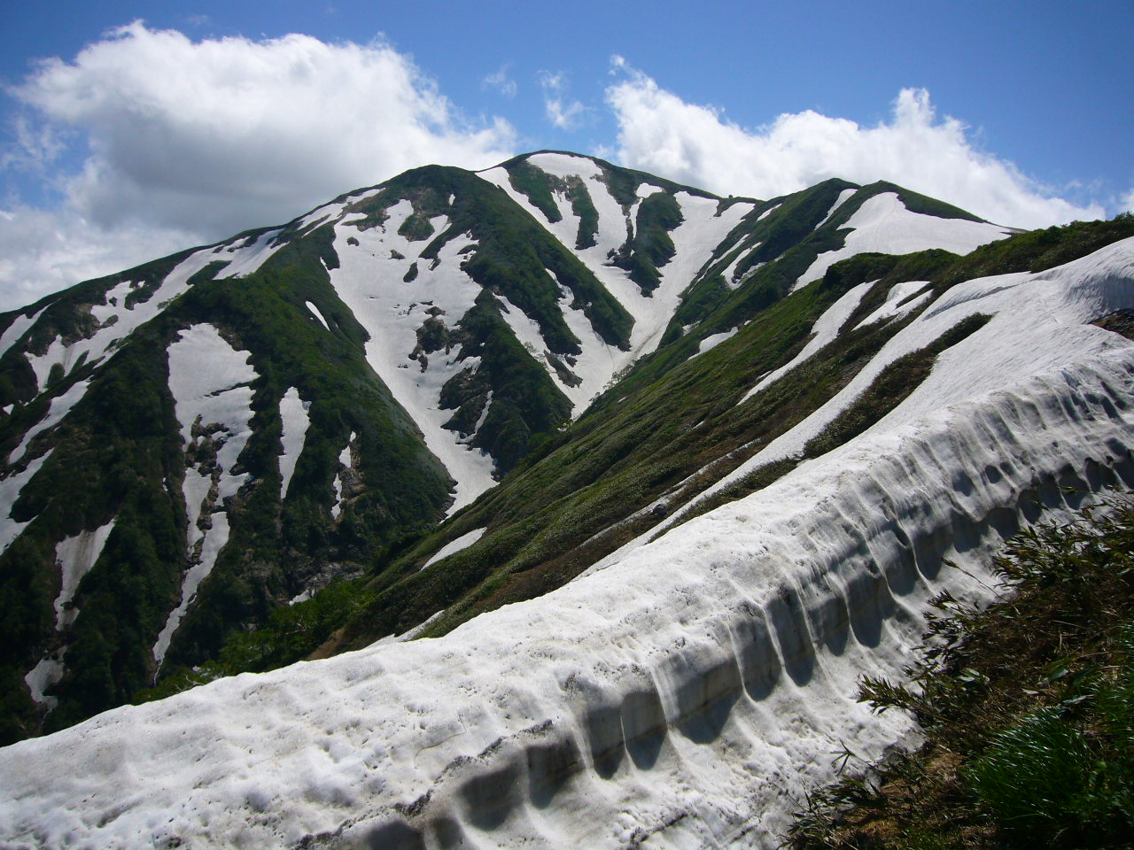 b0050305_227474.jpg