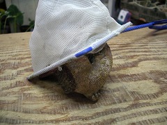 c0190010_20393372.jpg