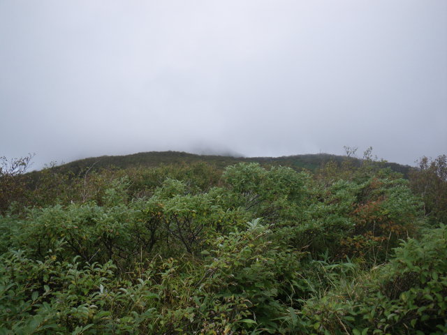 d0006512_010991.jpg