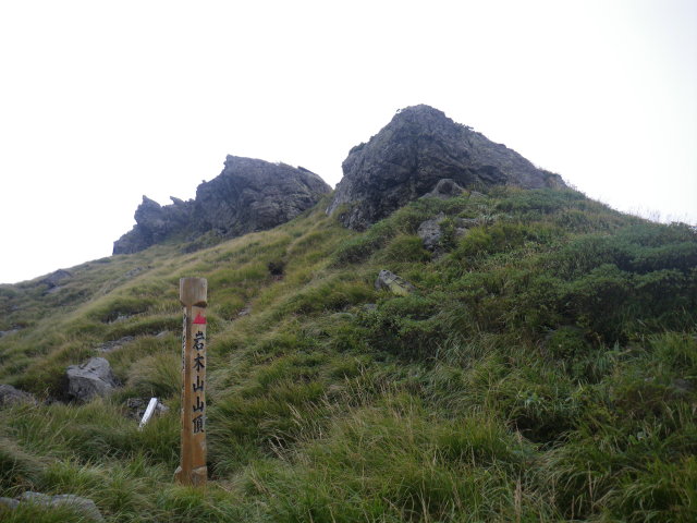 d0006512_0114195.jpg