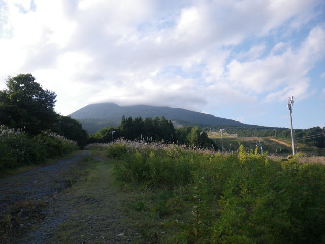 d0006512_0155537.jpg