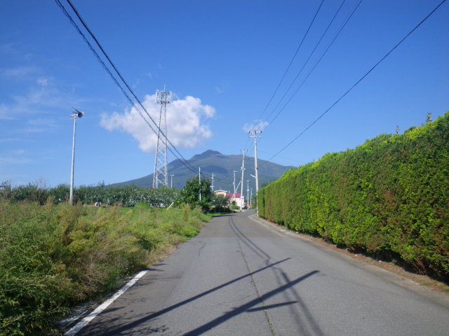 d0006512_06186.jpg