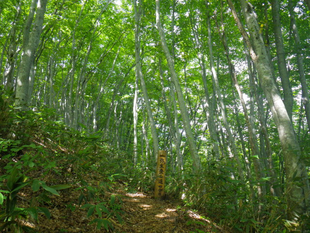 d0006512_083479.jpg