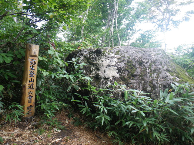 d0006512_084830.jpg
