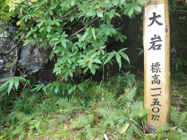d0006512_095668.jpg