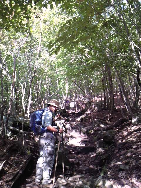 e0238313_11461220.jpg