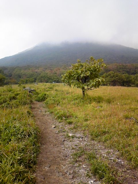 e0238313_1211980.jpg