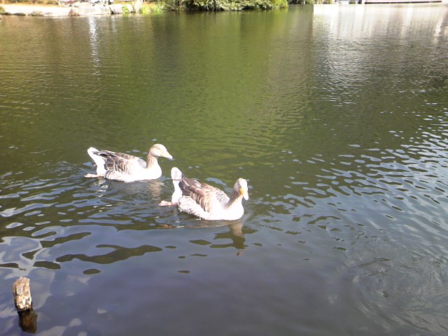 e0238313_1333914.jpg