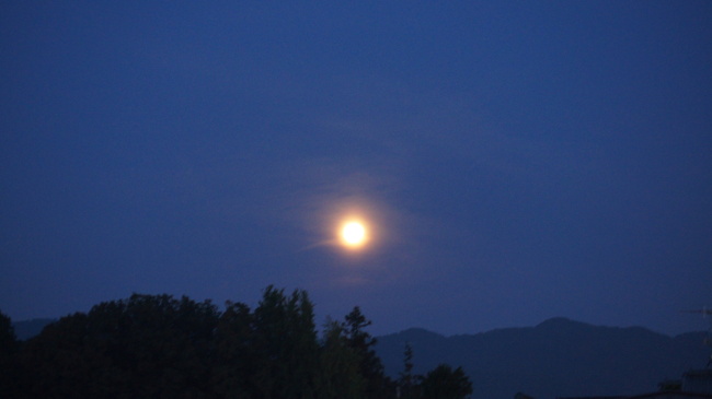 f0233414_22531436.jpg
