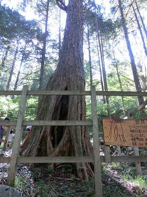 e0097018_13481733.jpg