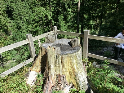 e0097018_13504645.jpg