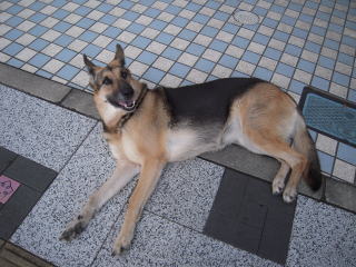 c0090220_526558.jpg