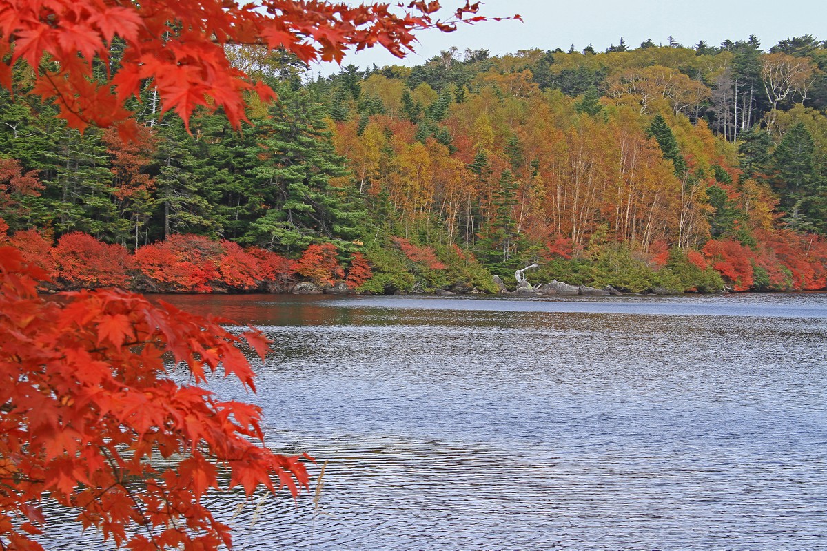 c0104227_2305245.jpg