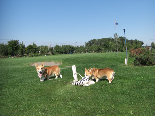 e0077528_16255440.jpg