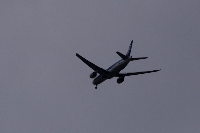 b0177233_859362.jpg