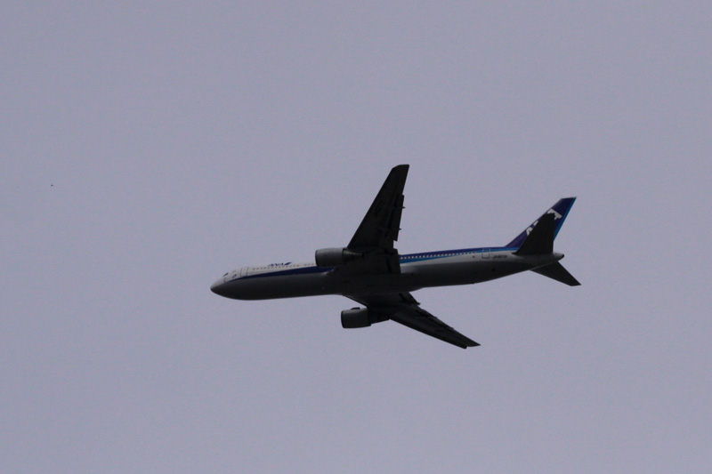 b0177233_901161.jpg