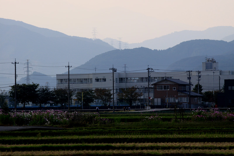 b0177233_99296.jpg