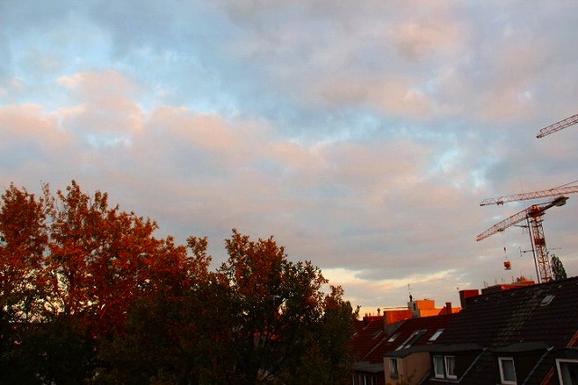 c0153740_156761.jpg