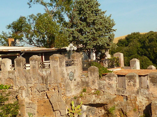 d0170140_0141272.jpg
