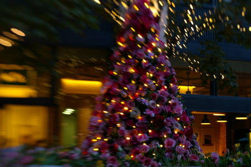 a0209045_925819.jpg