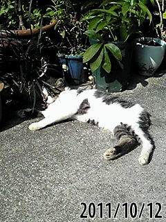 b0200747_18555295.jpg