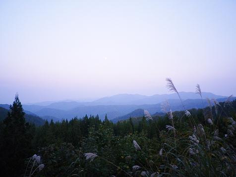f0000148_054962.jpg