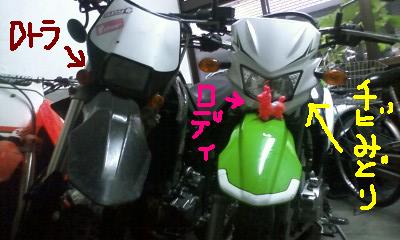 a0237349_19464851.jpg