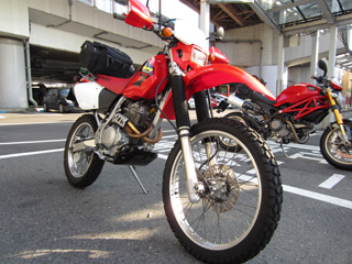 a0052952_0165428.jpg