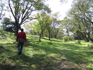 a0052952_0201255.jpg