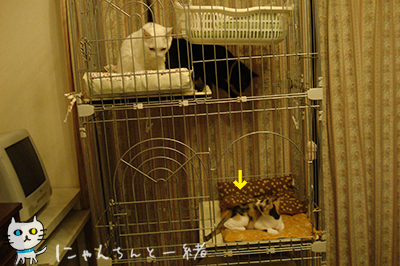 e0031853_014367.jpg