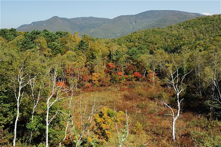 f0222161_1423932.jpg